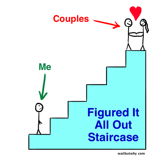 Wait But Why Summary: How to Pick a Life Partner